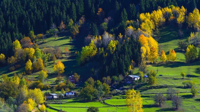Artvin Karçal Dağları'nda sonbahar güzelliği